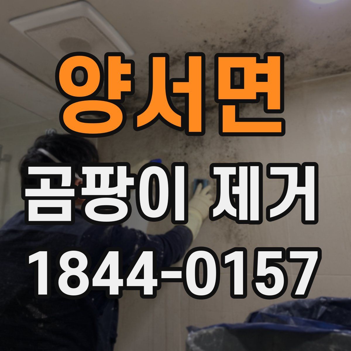양서면 곰팡이 제거