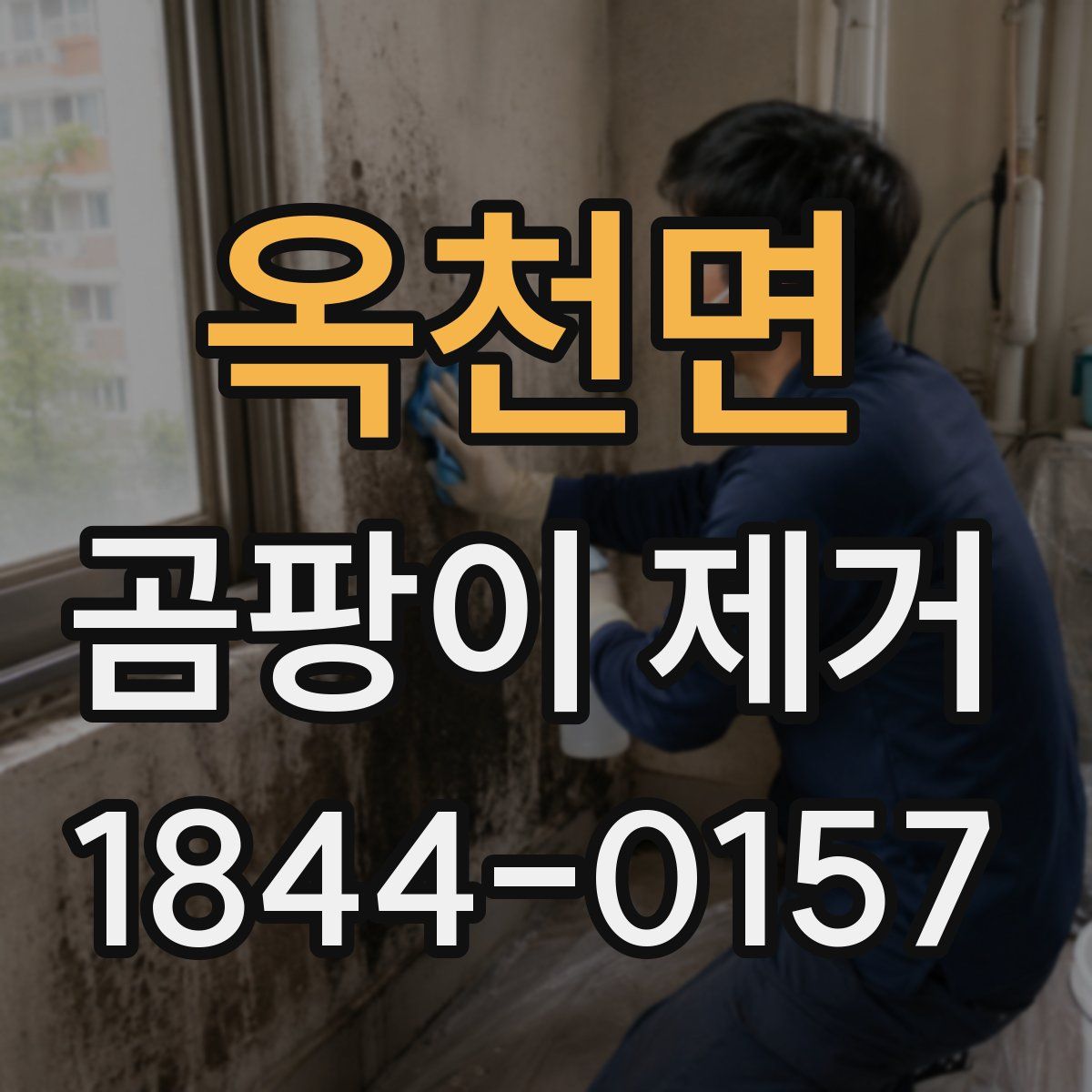 옥천면 곰팡이 제거