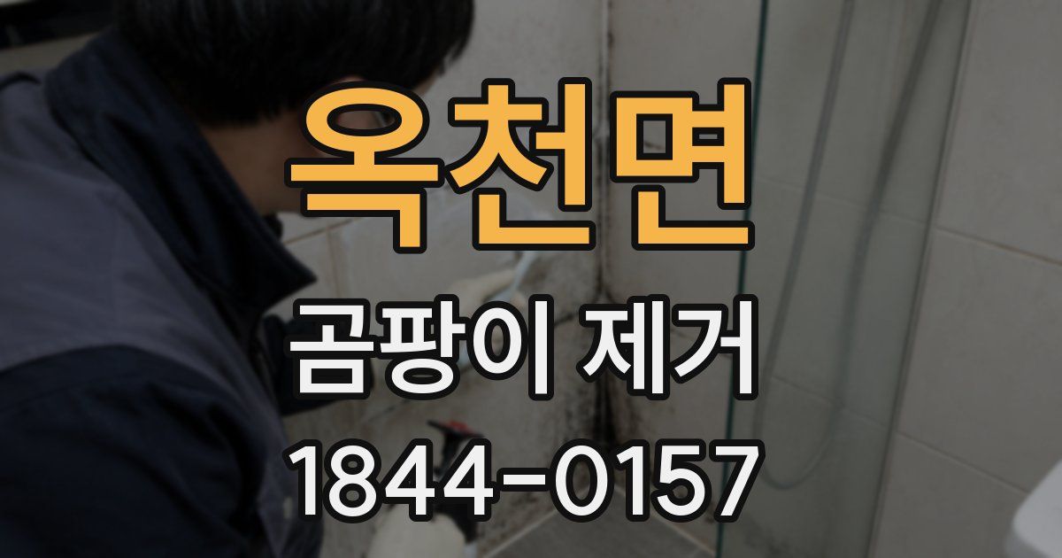 옥천면 곰팡이 제거