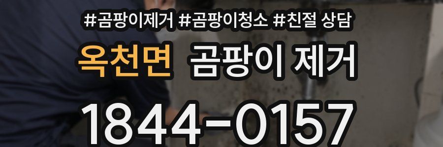 옥천면 곰팡이 제거
