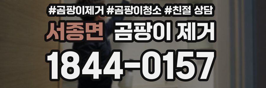 서종면 곰팡이 제거