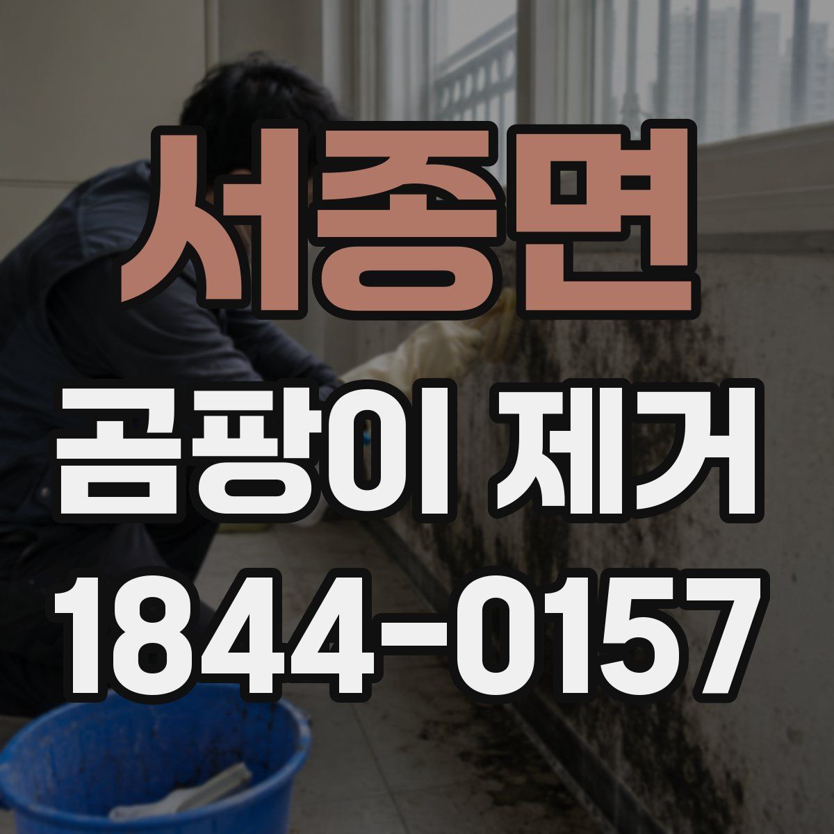 서종면 곰팡이 제거