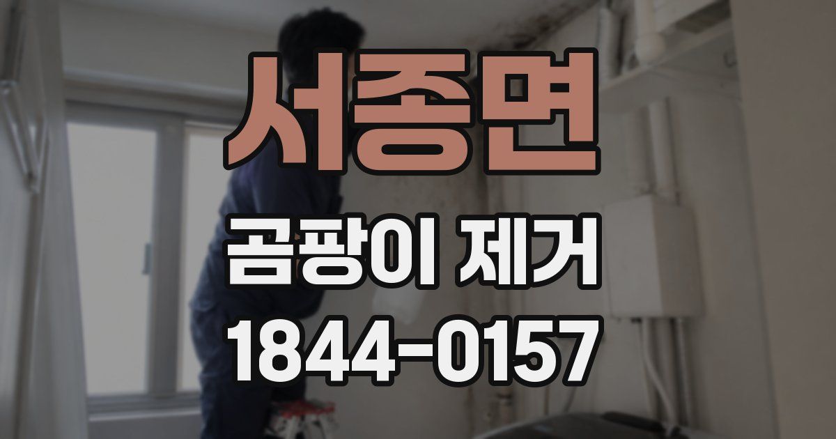 서종면 곰팡이 제거