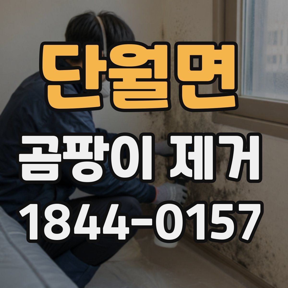 단월면 곰팡이 제거 비용이 달라지는 기준 정리