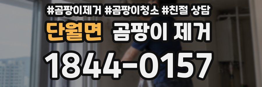 단월면 곰팡이 제거