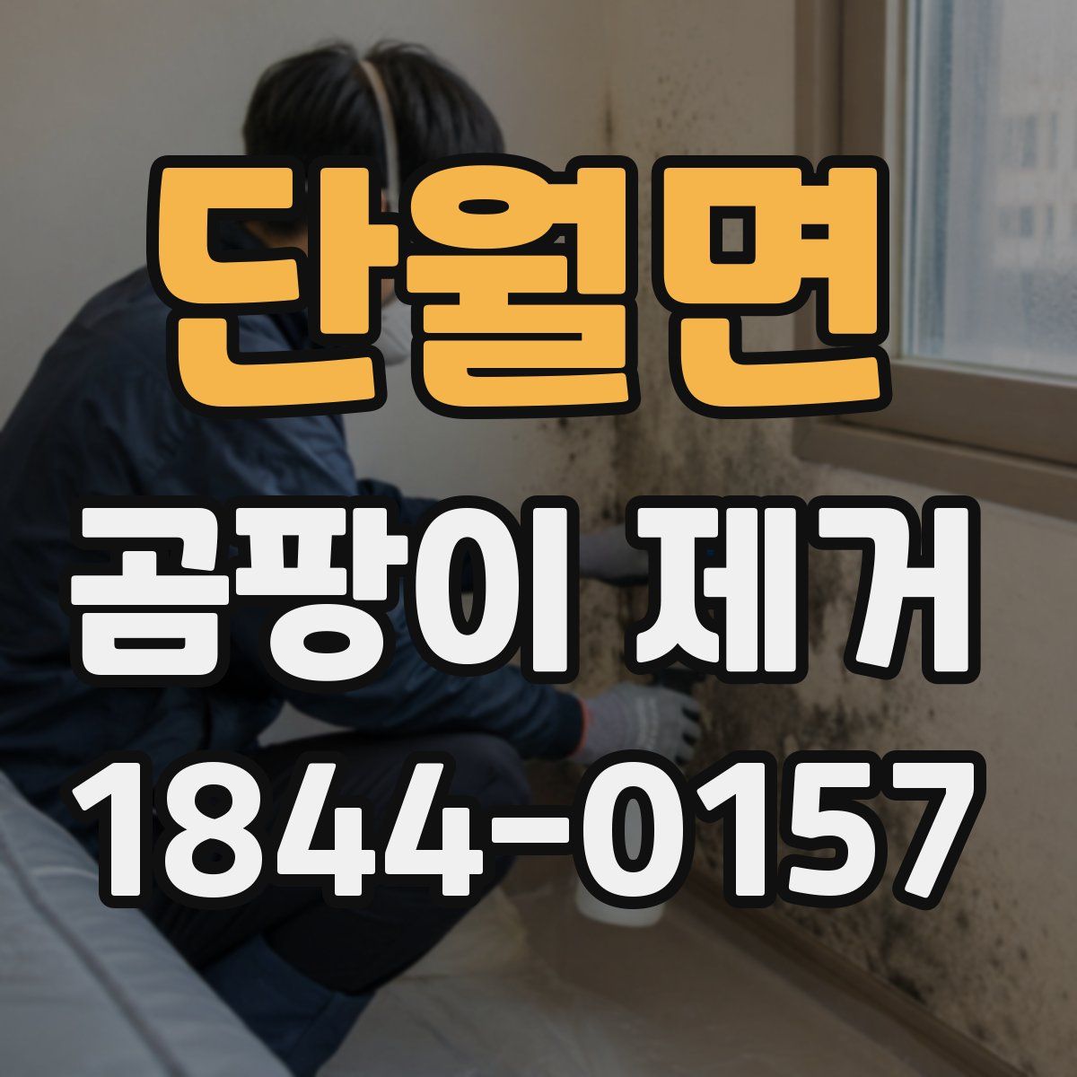 단월면 곰팡이 제거
