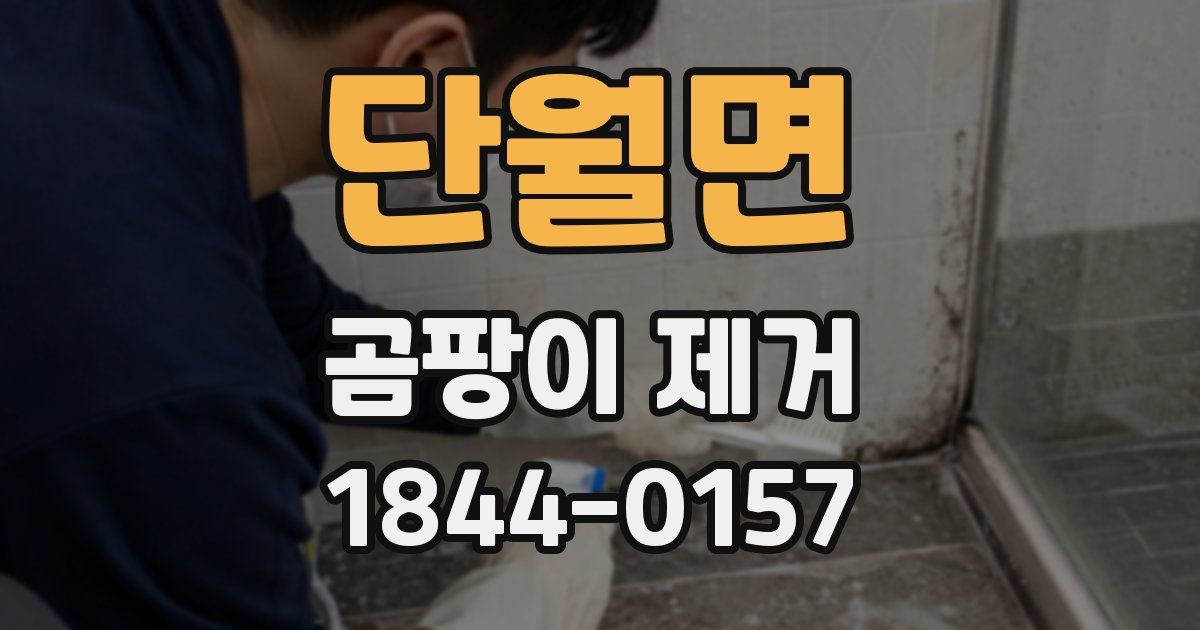 단월면 곰팡이 제거