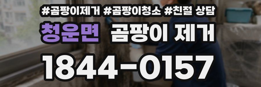청운면 곰팡이 제거