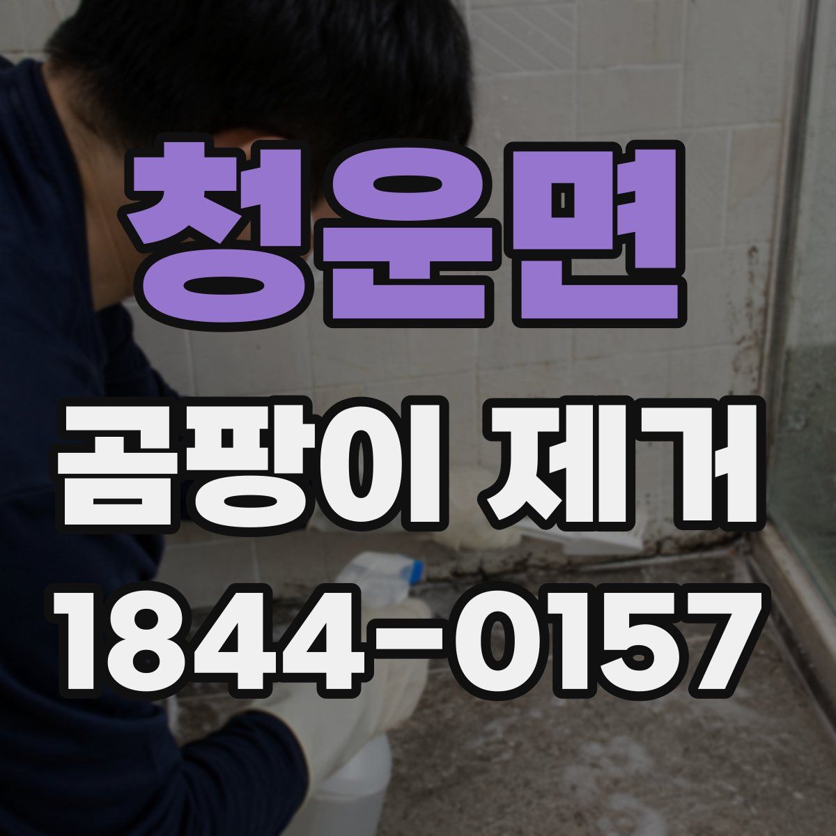 청운면 곰팡이 제거