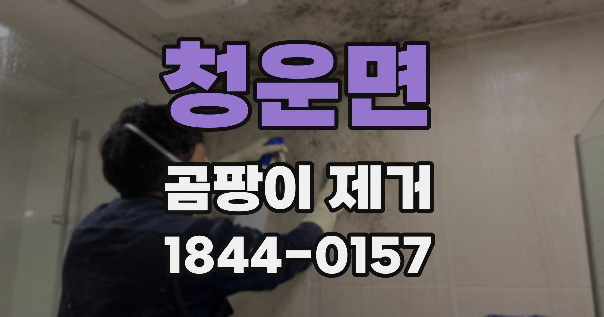 청운면 곰팡이 제거