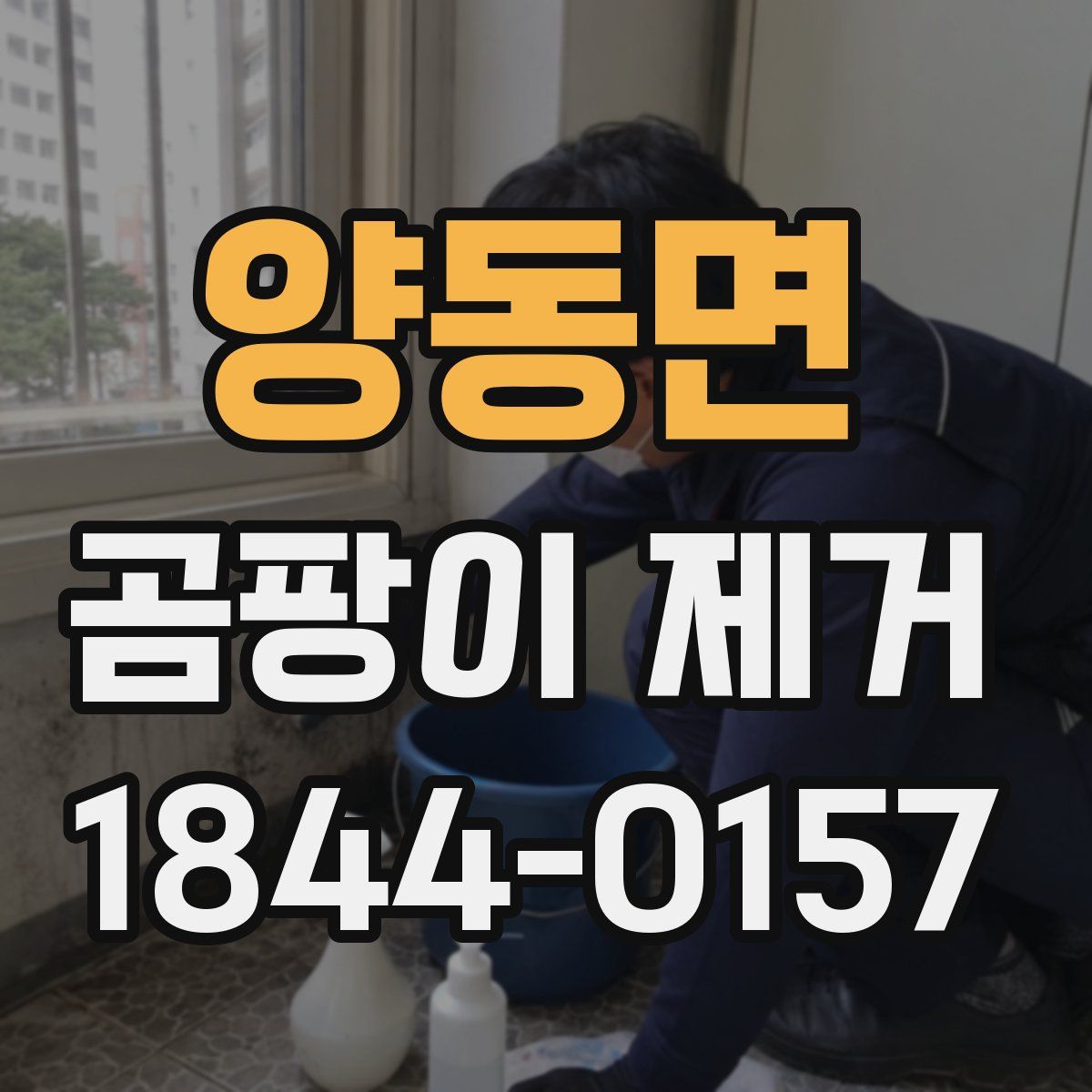 양동면 곰팡이 제거