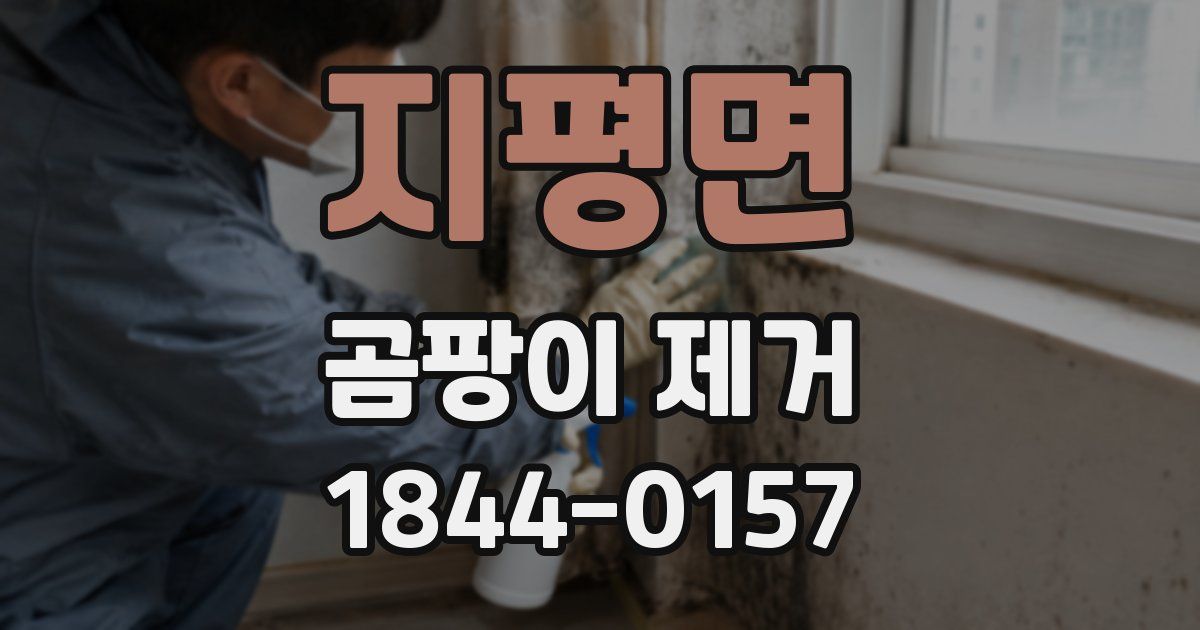 지평면 곰팡이 제거
