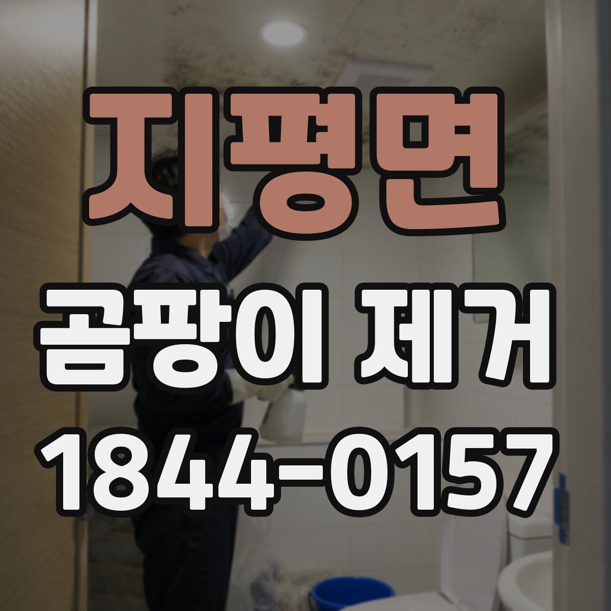 지평면 곰팡이 제거