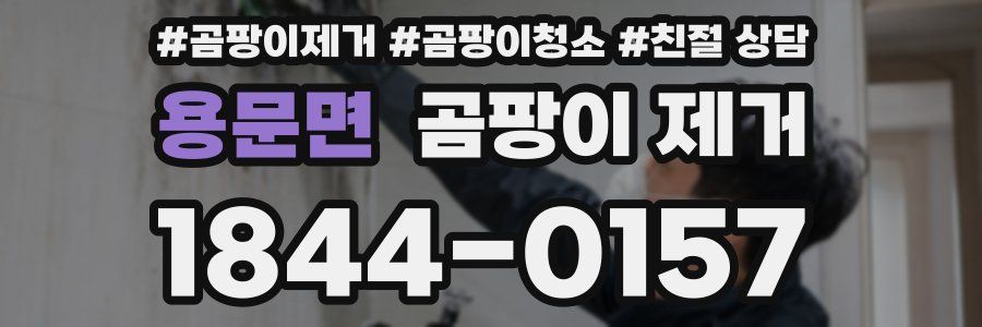 용문면 곰팡이 제거