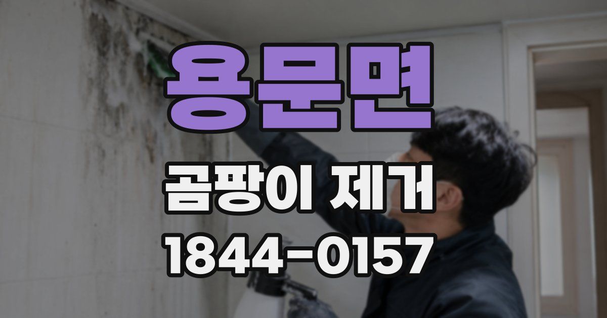 용문면 곰팡이 제거