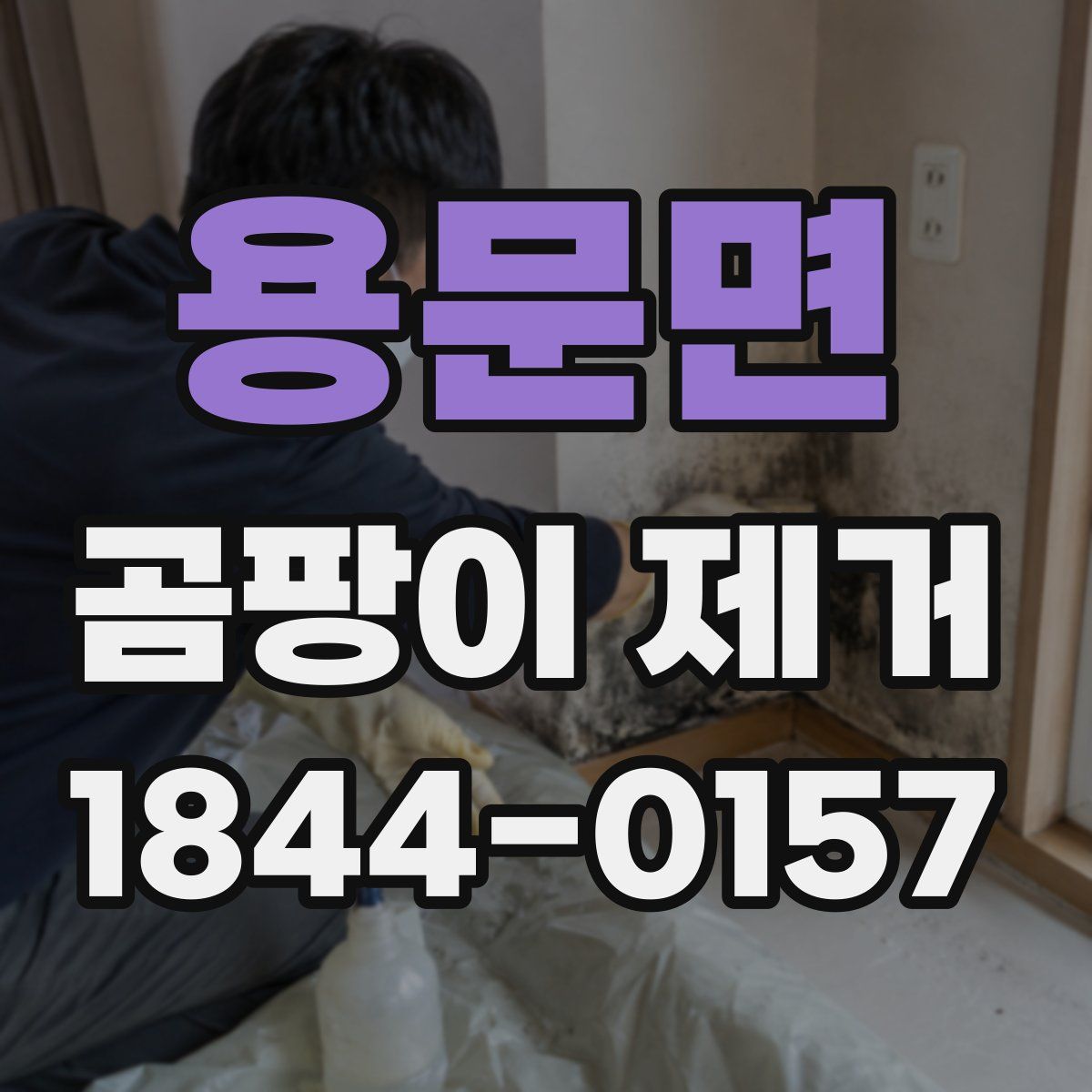 용문면 곰팡이 제거