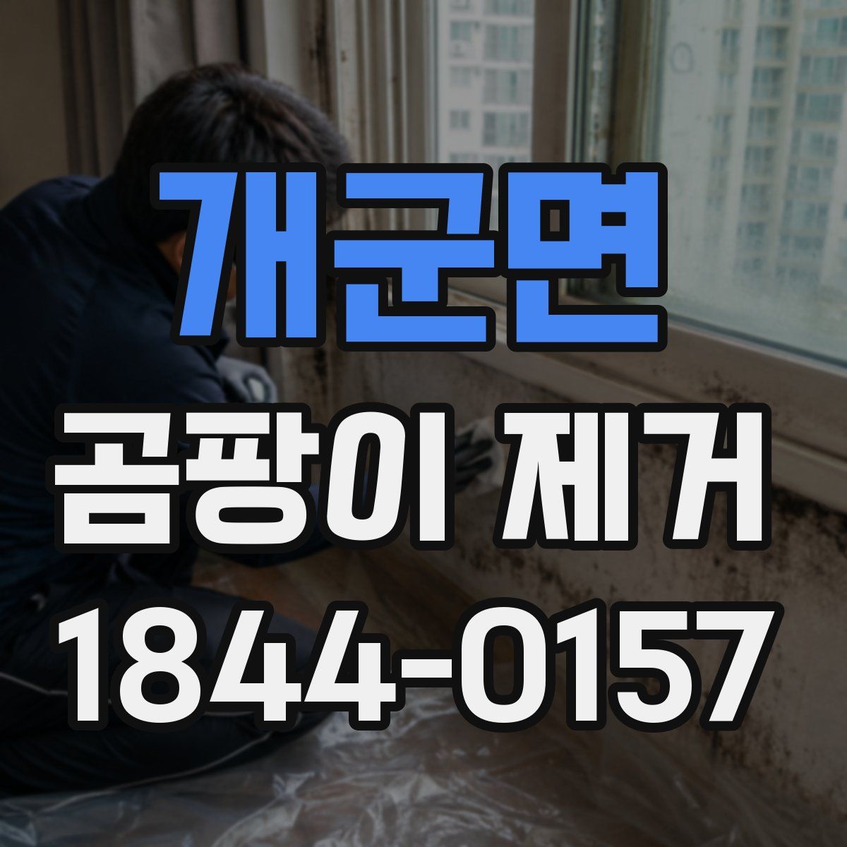 개군면 곰팡이 제거