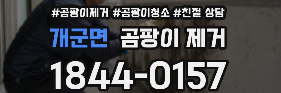 개군면 곰팡이 제거