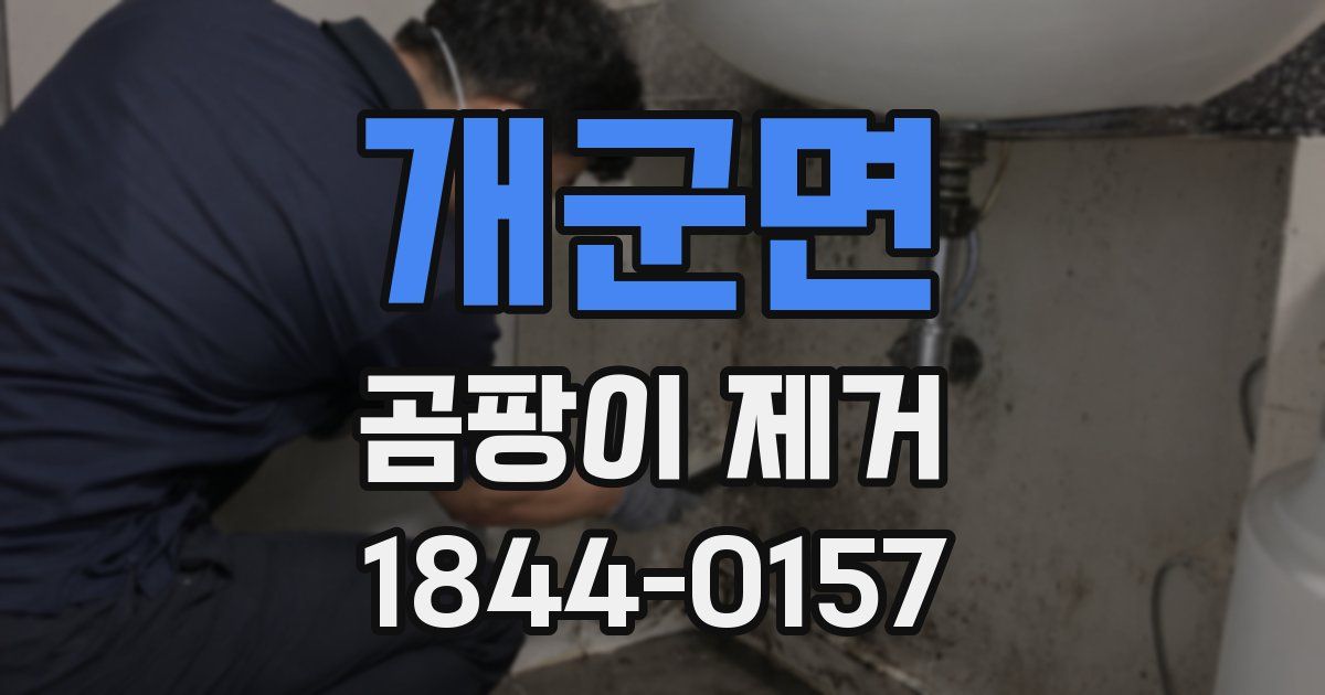 개군면 곰팡이 제거
