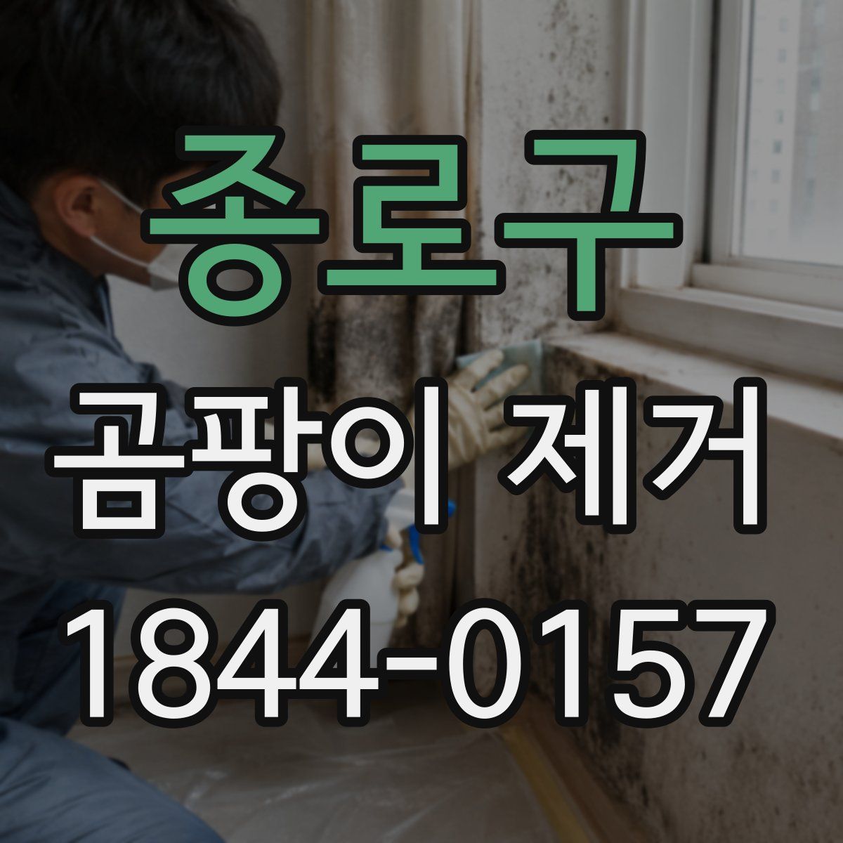 종로구 곰팡이 제거