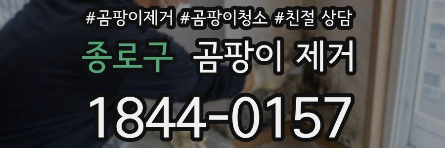 종로구 곰팡이 제거