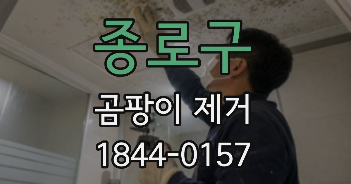 종로구 곰팡이 제거