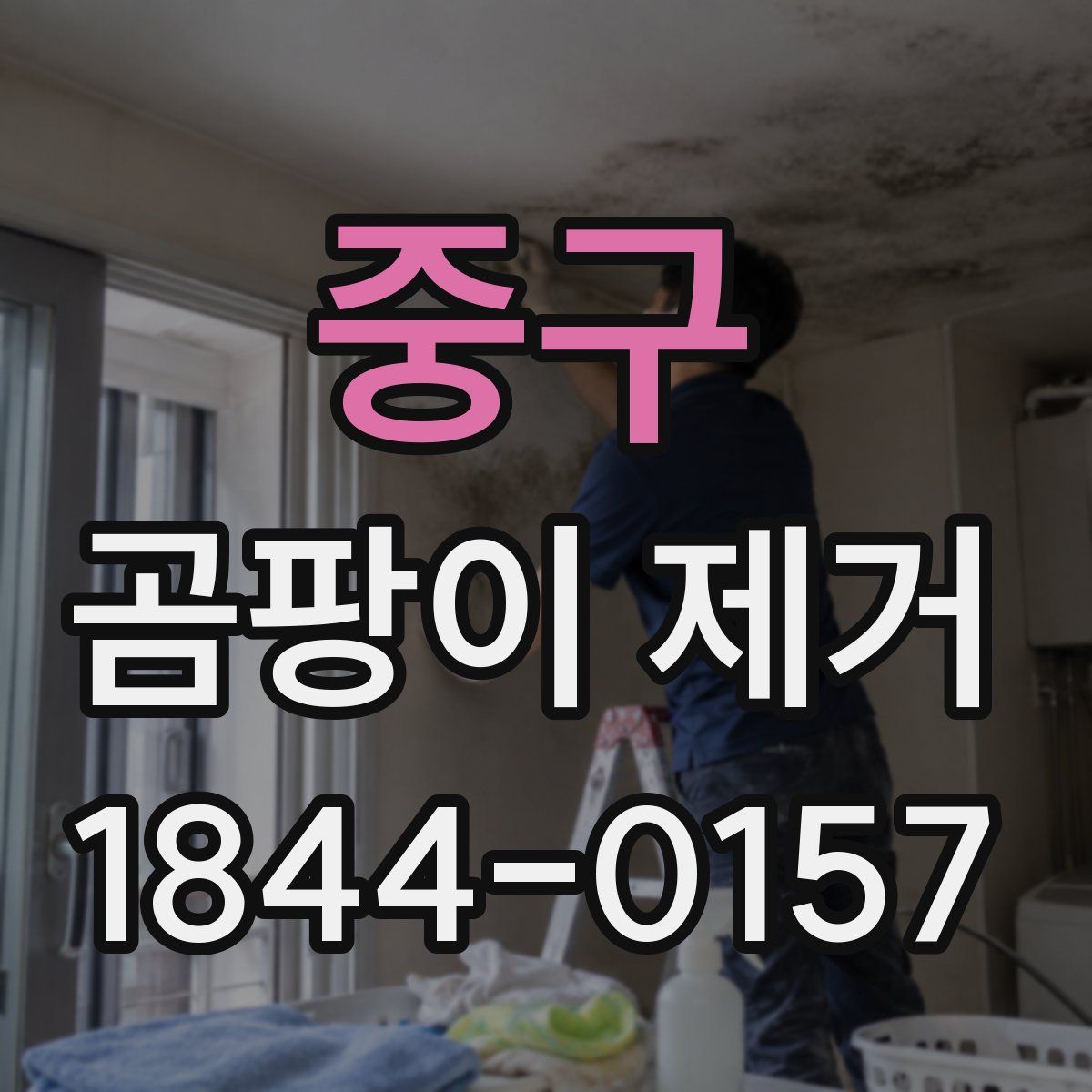 중구 곰팡이 제거