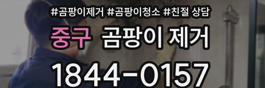중구 곰팡이 제거
