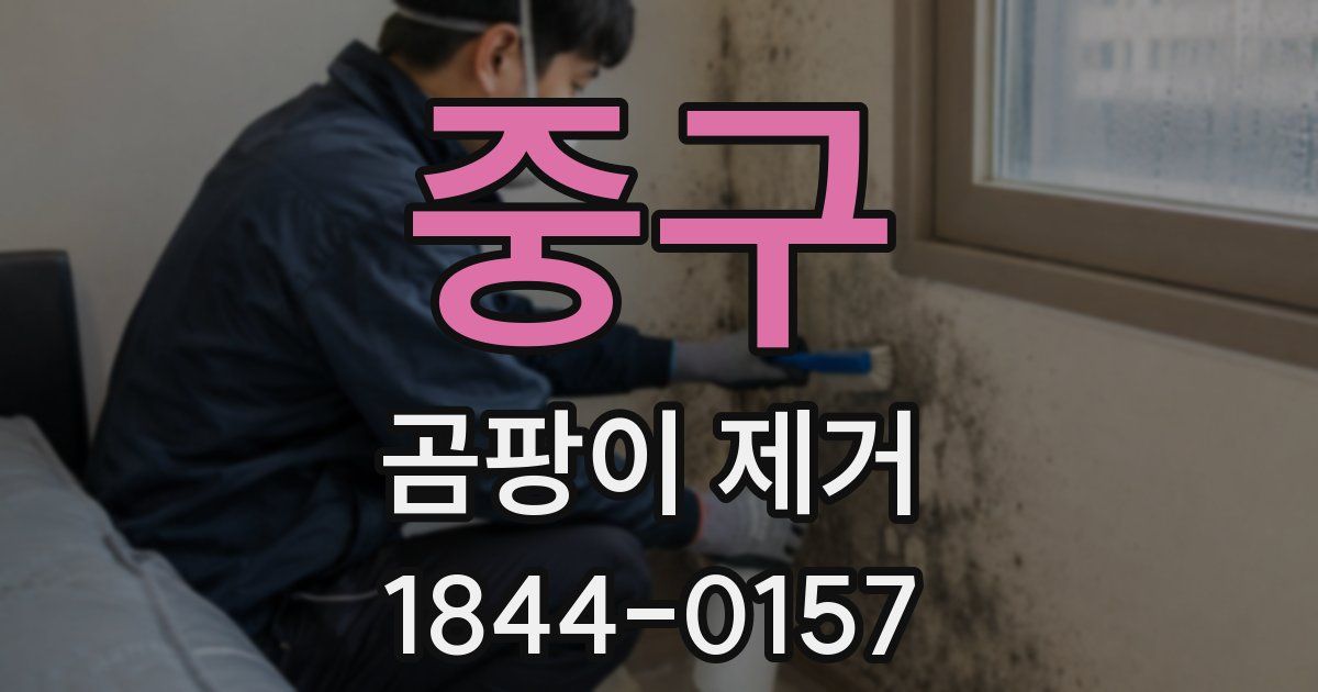 중구 곰팡이 제거