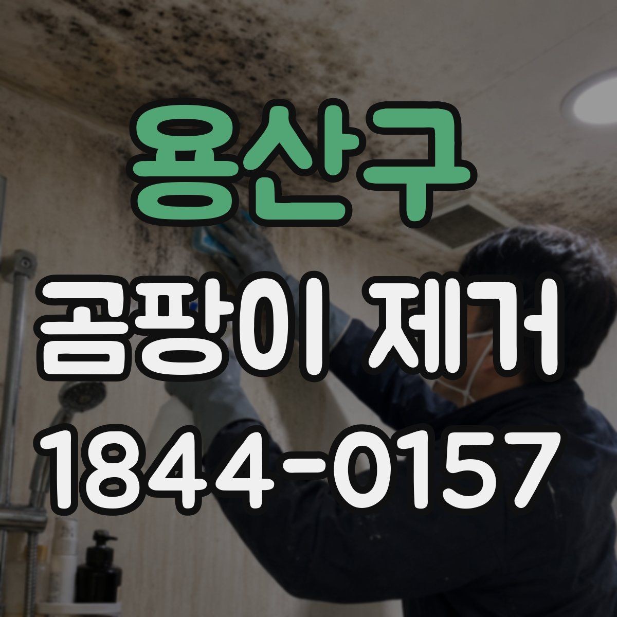 용산구 곰팡이 제거 서비스 선택에서 중요한 위생 관리
