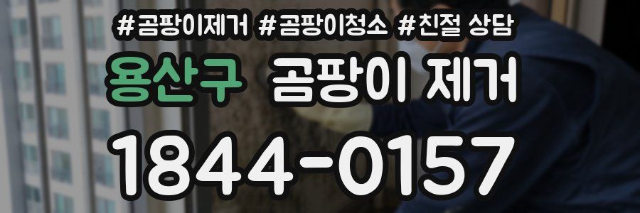 용산구 곰팡이 제거