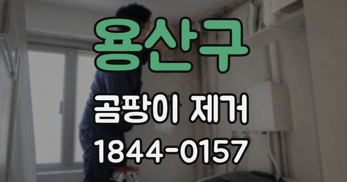 용산구 곰팡이 제거