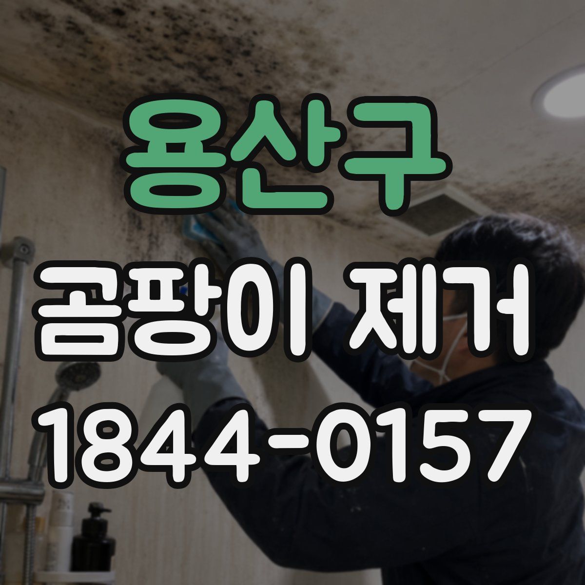 용산구 곰팡이 제거