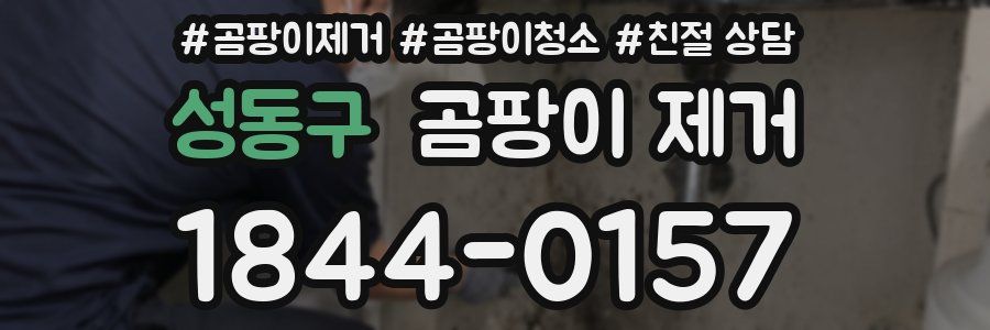 성동구 곰팡이 제거