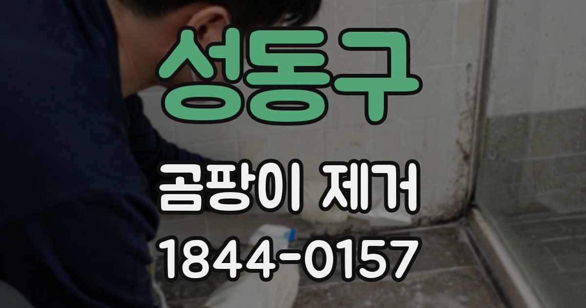 성동구 곰팡이 제거