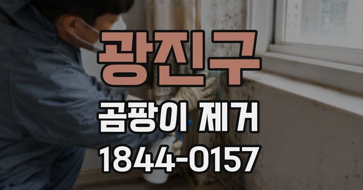 광진구 곰팡이 제거