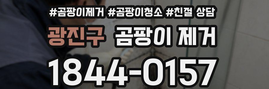 광진구 곰팡이 제거