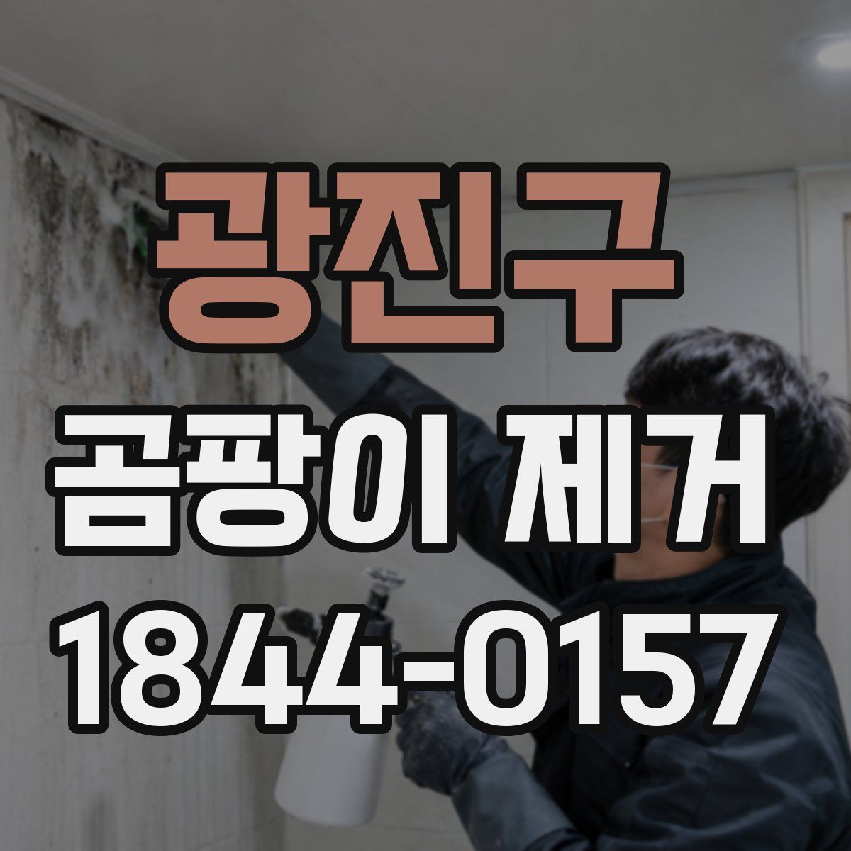 광진구 곰팡이 제거