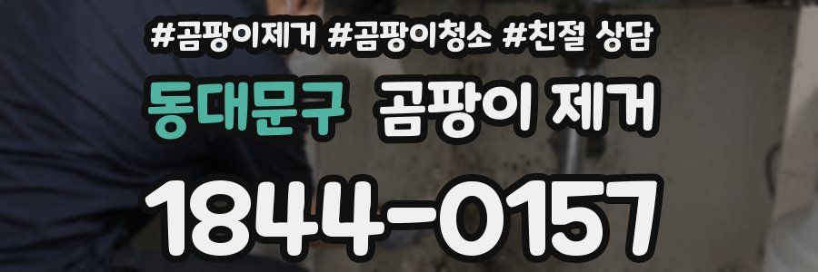 동대문구 곰팡이 제거