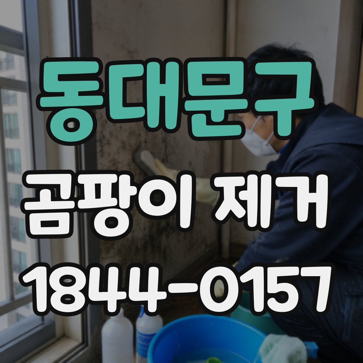동대문구 곰팡이 제거