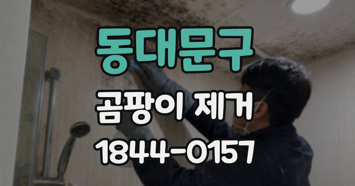 동대문구 곰팡이 제거
