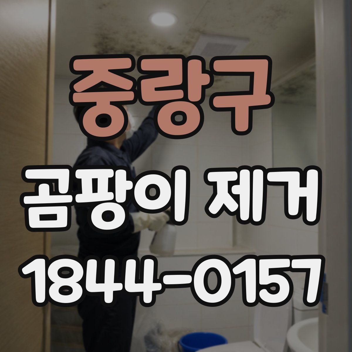 중랑구 곰팡이 제거