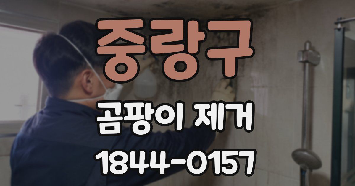 중랑구 곰팡이 제거