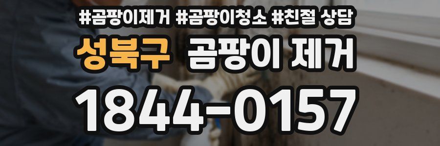 성북구 곰팡이 제거