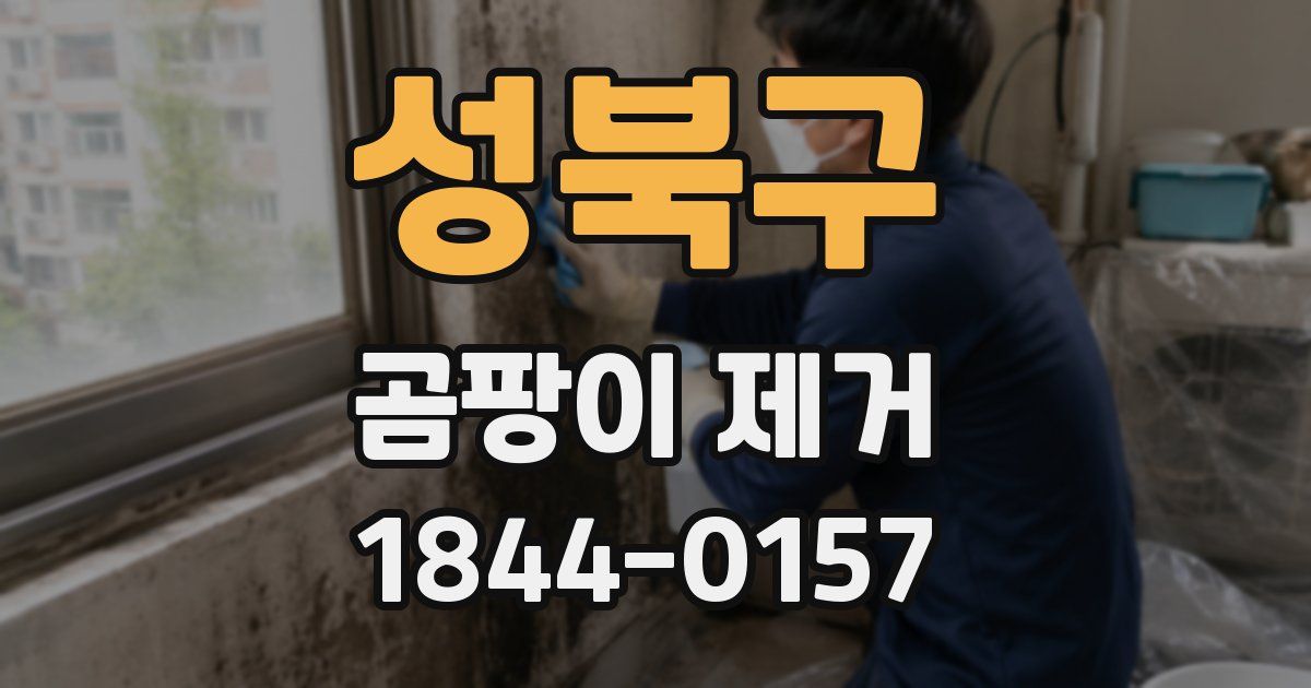 성북구 곰팡이 제거