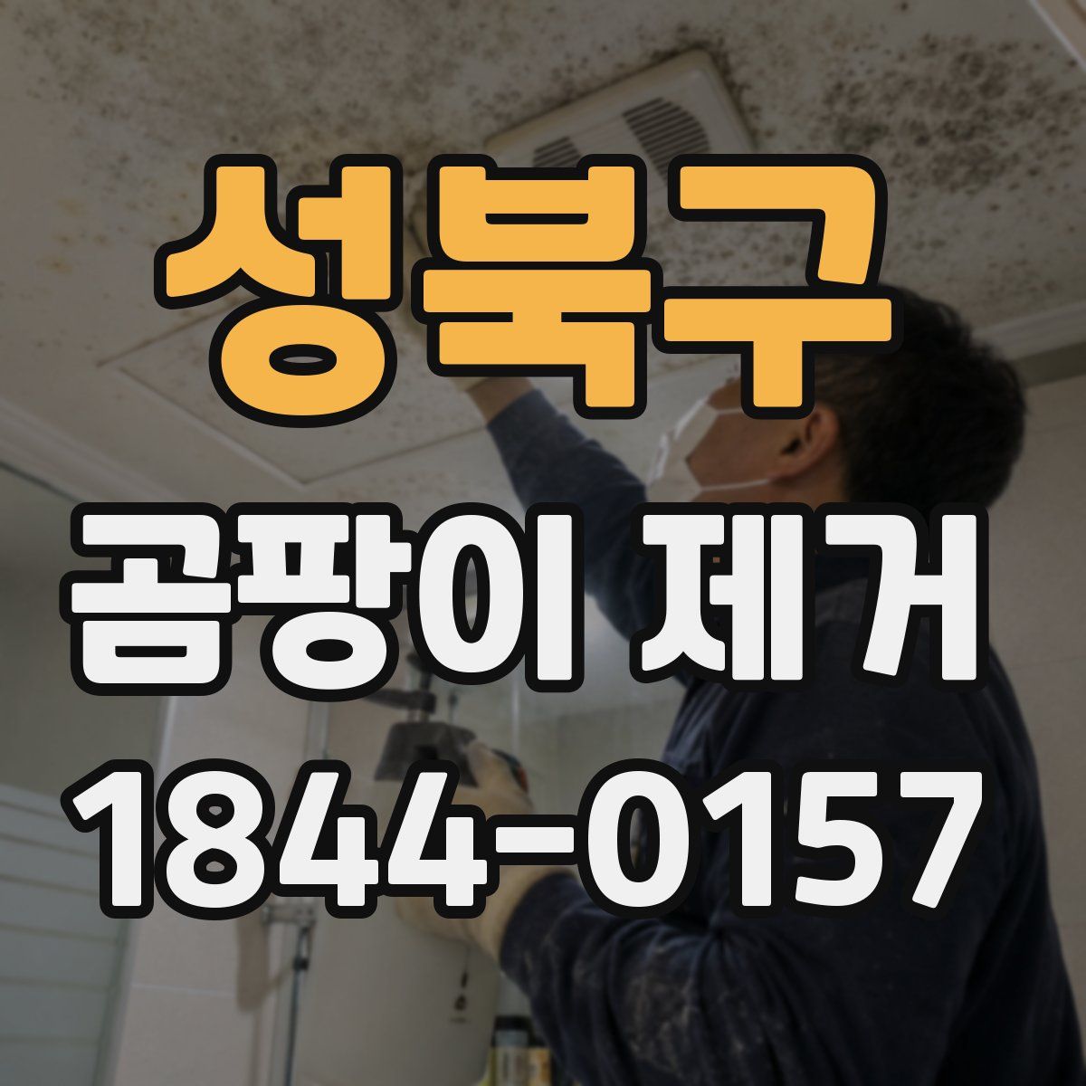 성북구 곰팡이 제거