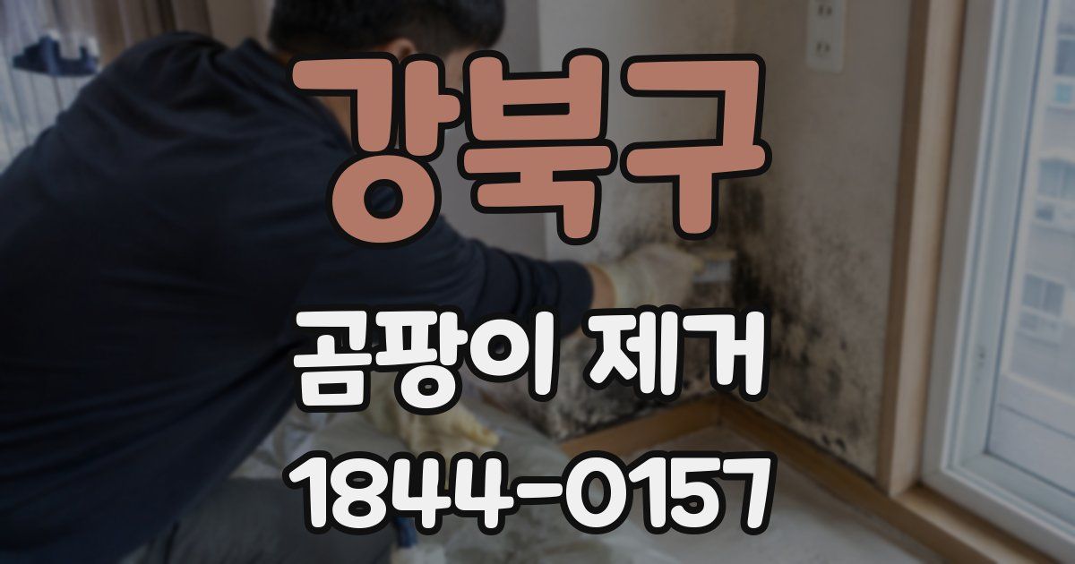 강북구 곰팡이 제거