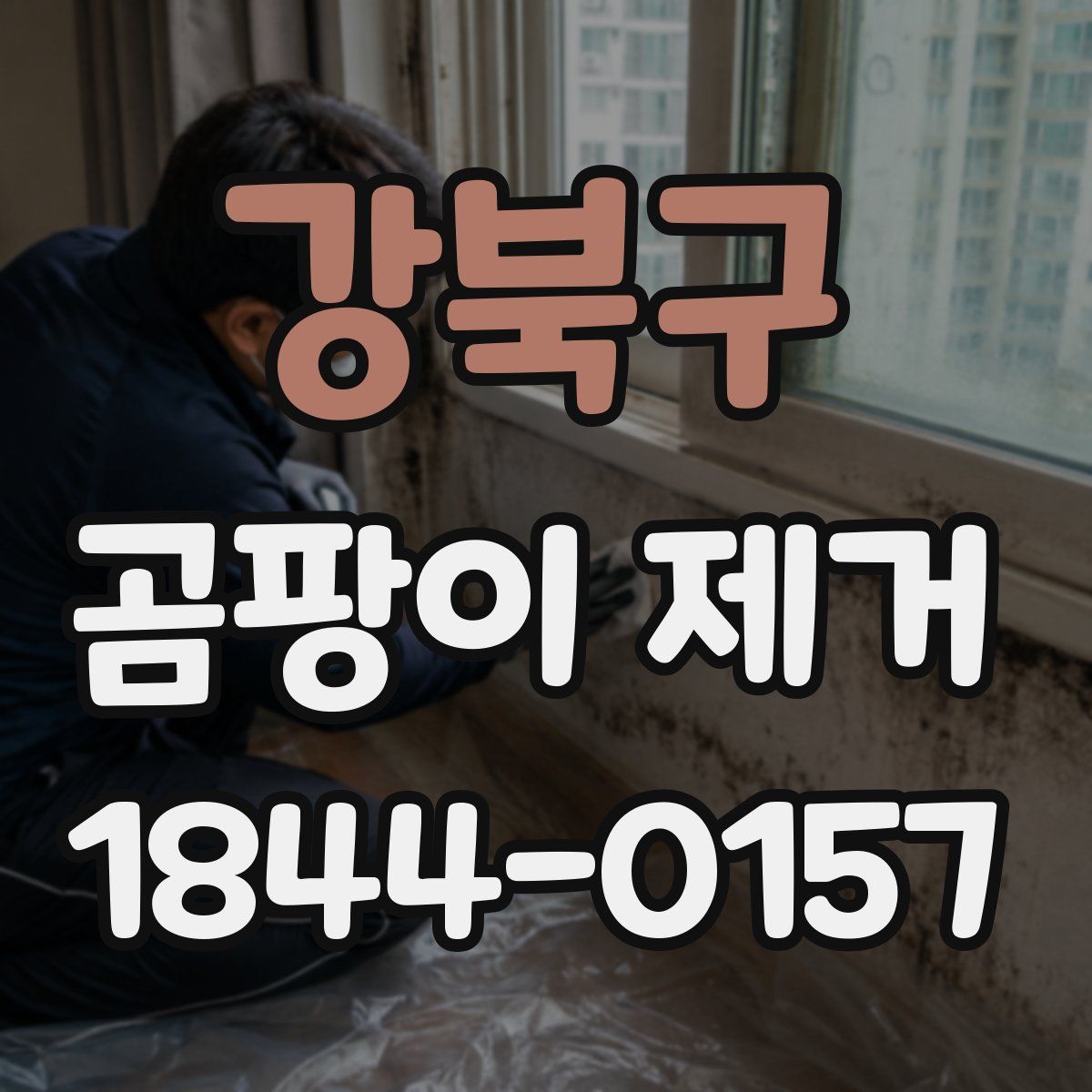강북구 곰팡이 제거