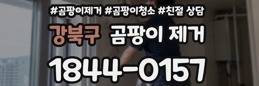 강북구 곰팡이 제거