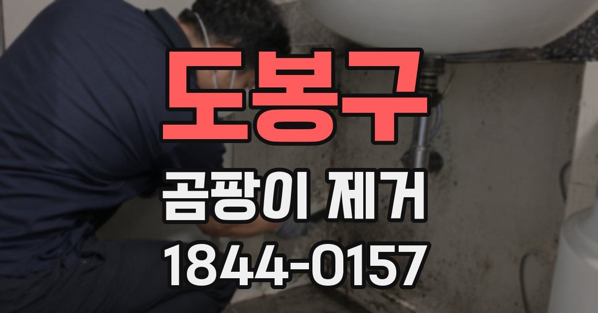 도봉구 곰팡이 제거
